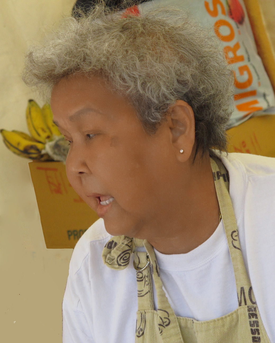 ThaiFestival 004